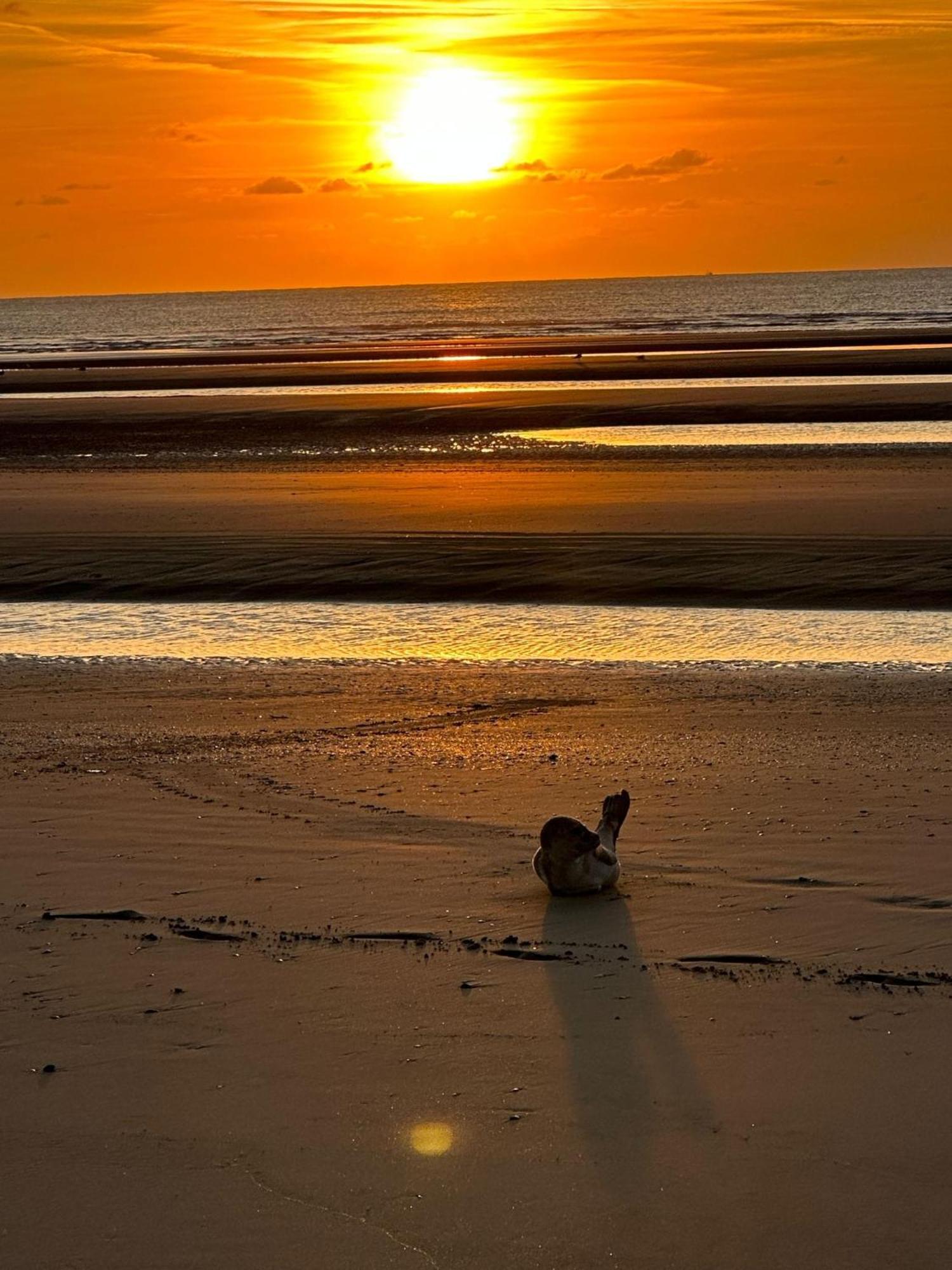 Penthouse Vakantielust Blankenberge Exteriör bild